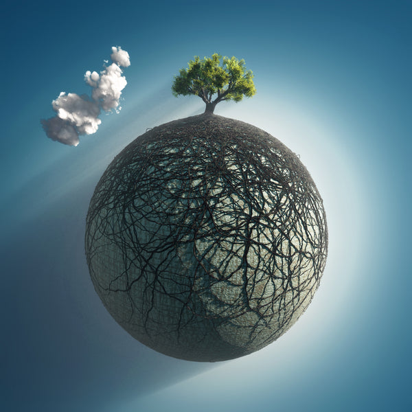 New Earth Meditation for you