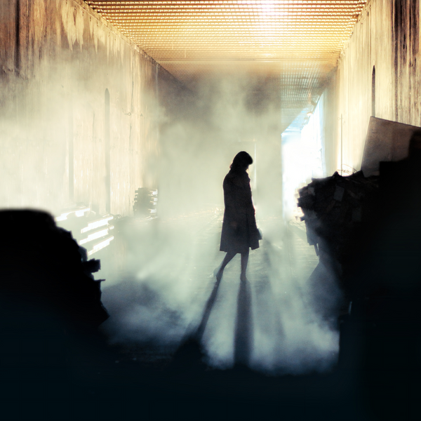 The Hole and the Shadows
