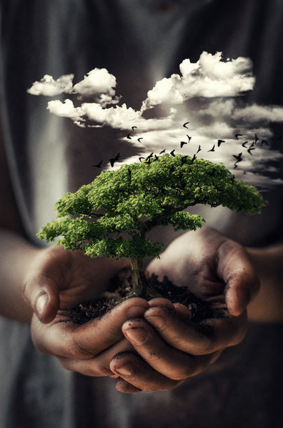 Light for Gaia