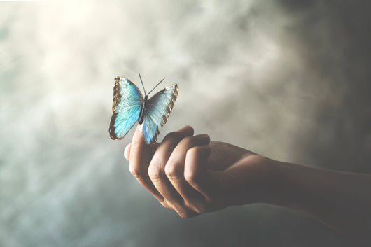 REIKI UNHURRIED (LEVEL 1)