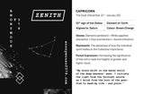 ON SALE! Zenith series - Capricorn zodiac star constellation spinner pendant