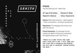 ON SALE! Zenith series - Pisces zodiac star constellation spinner pendant